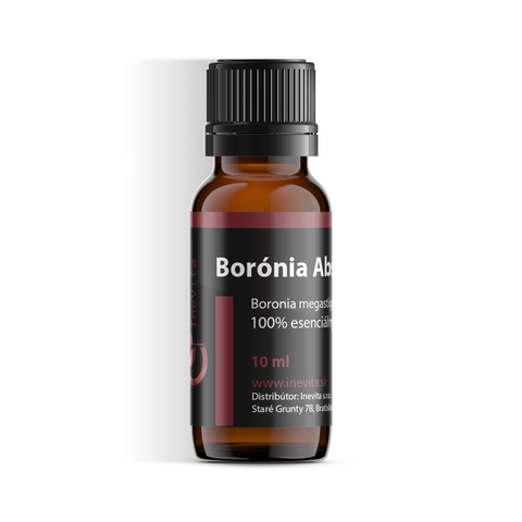 Borónia Absolute / Boronia megastigma - Inevita.sk