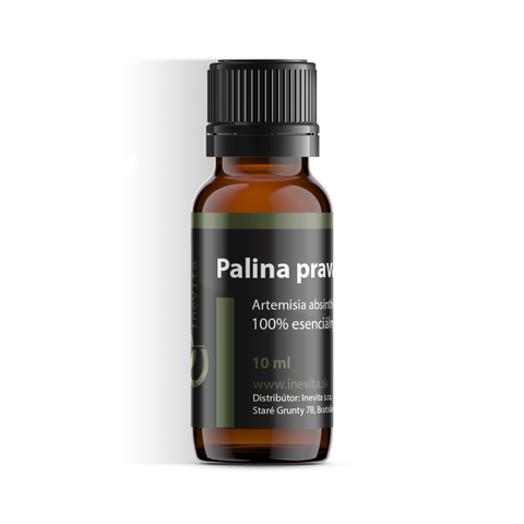 Palina pravá / Artemisia Absinthium - Inevita.sk