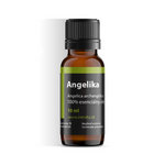 Angelika koreň/ Angelica archangelica linne