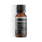 Tuberóza Absolute / Polianthes tuberosa