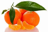 Mandarinka / Citrus reticulata - Inevita.sk